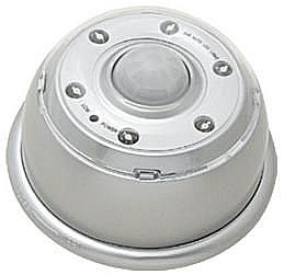 ���� ����� �������