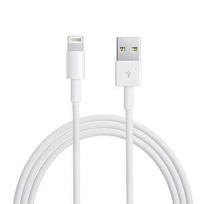 ��� ����� ������ + ����� ����� ���� Apple �� ����� Lightning (���� ���� 2 ���)