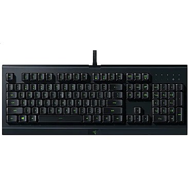 ����� ������� ���� Cynosa Lite ���� Razer (���� ����� ����)