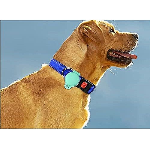 ���� ������ / ���� �� ���� ���� ���� Pet Case ���� LaTera ��� ���� AirTag (��� ����)